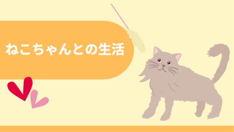 ねこちゃんとの生活